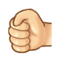 Left-Facing Fist - Light emoji on Samsung